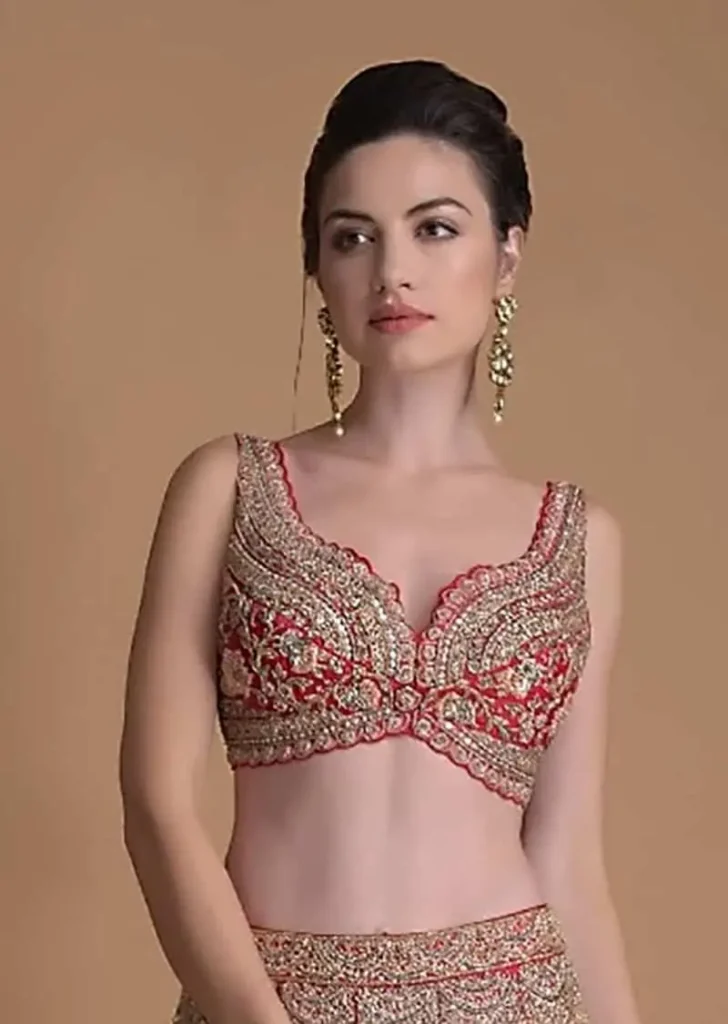 Celebrity-Inspired 8 Embroidered Saree Blouses To Elevate Your Style Game – image 14