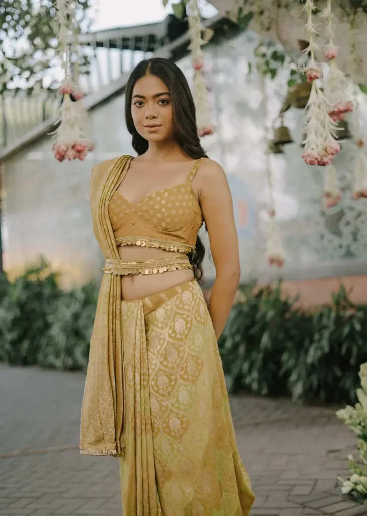 Diverse Drapes: A Journey Through The Different Types Of Indian Sarees – image 5